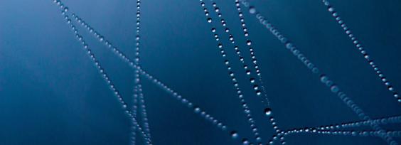 Tracking Coronavirus: New Methods Using Online Communication