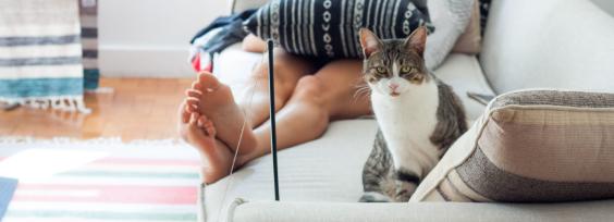 A Breakout Moment for Remote Work and Study Technology